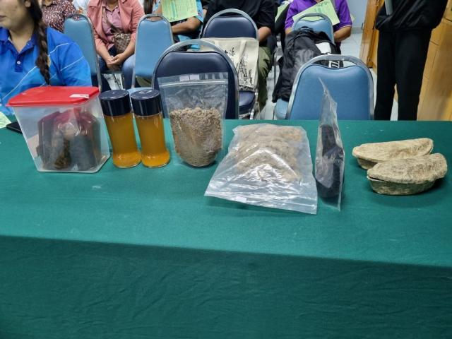 535496208_1348584920607981_1782177594059302767_n